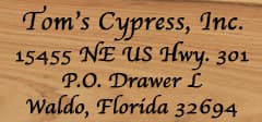 Tom's Cypress